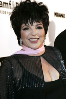 Лайза Минели / Liza Minnelli