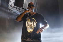 Ди Ем Екс / DMX