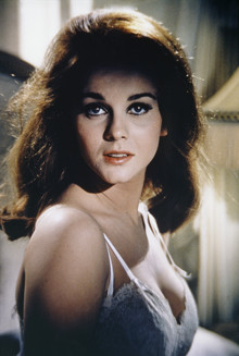 Ан-Маргрет / Ann-Margret