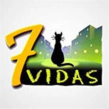 Siete Vidas / 7 живота