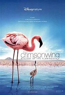 The Crimson Wing: Mystery of the Flamingos / Аленото крило: Тайната на фламнгите