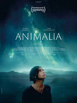 Animalia / Анималия 