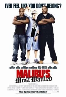 Malibu's Most Wanted / Страшилището на Малибу