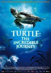 Turtle: The Incredible Journey / Костенурката: Невероятно пътешествие