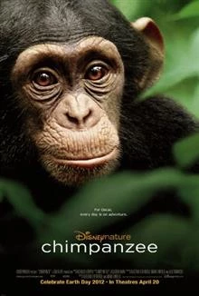 Chimpanzee / Шимпанзе