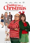 A Sudden Case of Christmas / Неочаквана Коледа 